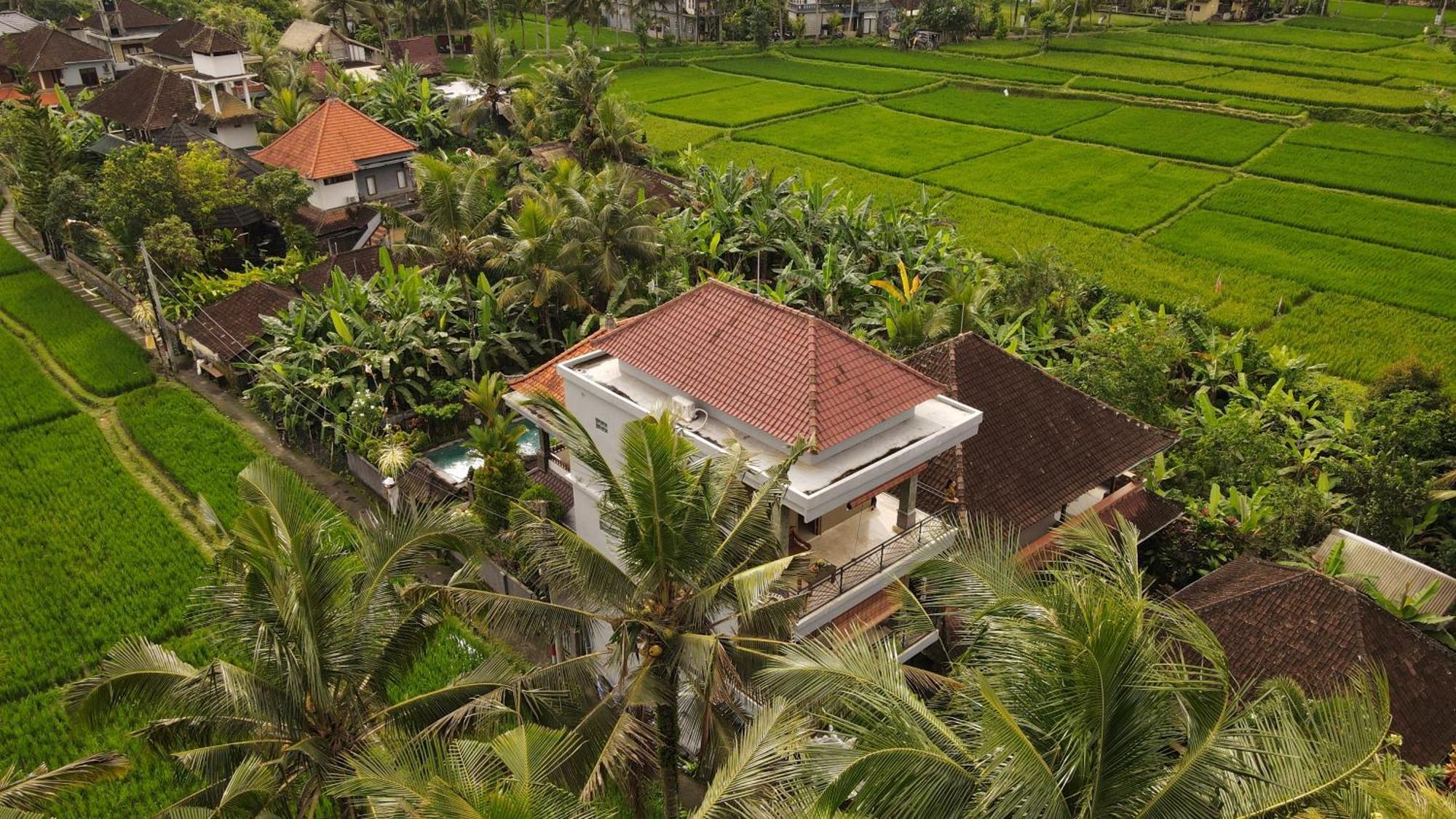 Nirwa 1 Ubud Guesthouse Dış mekan fotoğraf